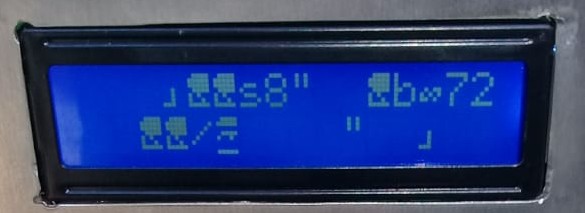 Steam Doctor Example of an LCD Garbage Output